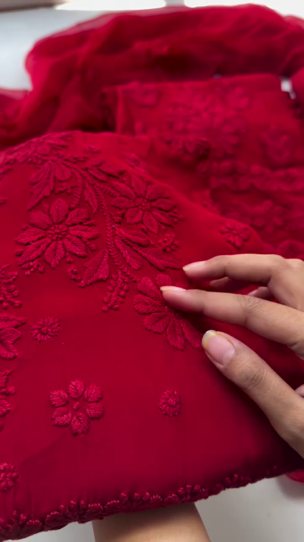 Exclusive Georgette Lucknowi Read chikan set for women - Image 2
