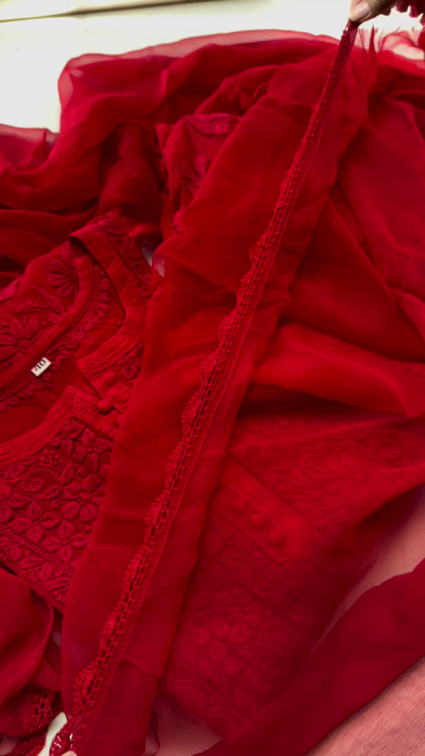 Exclusive Georgette Lucknowi Read chikan set for women - Image 6
